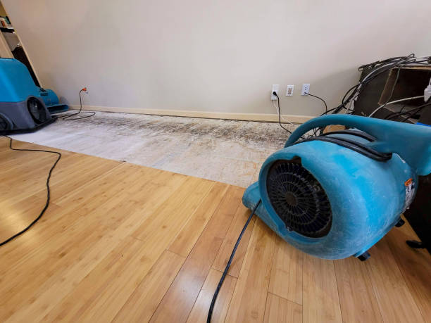 Professional Water Damage Repair technician working in Van Voorhis, PA
